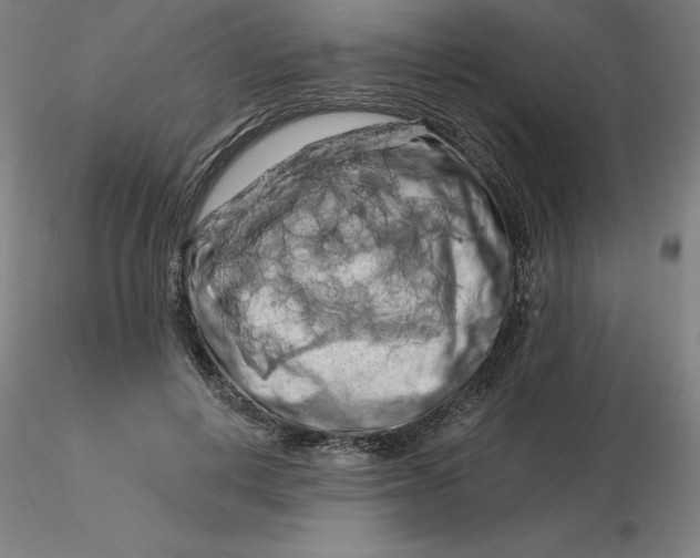 X0000116280648200912211820