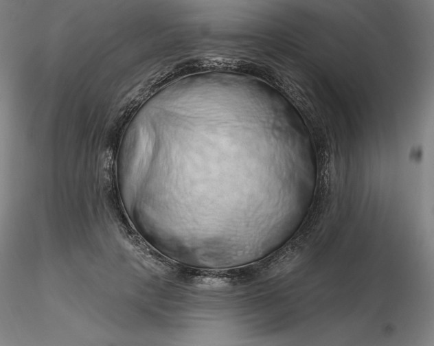 X0000116280649200912211820