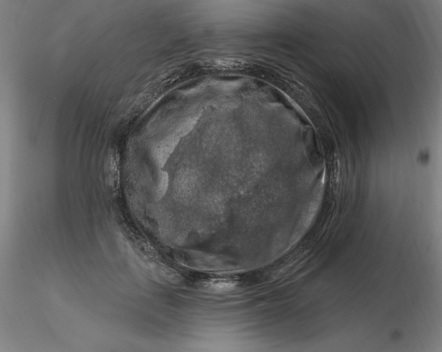 X0000116280651200912211820