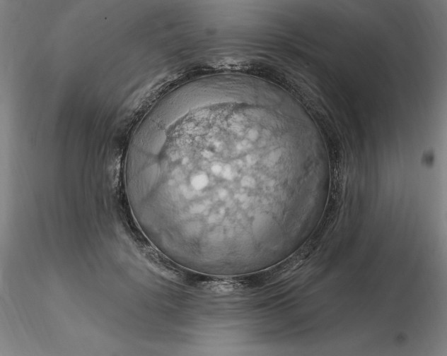 X0000116280652200912211820