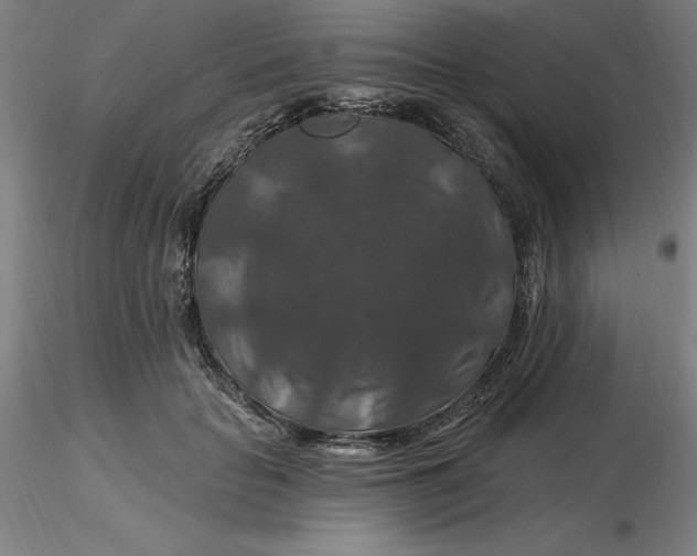 X0000116280653200912211820