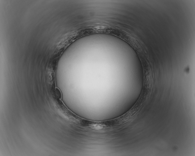 X0000116280654200912211820