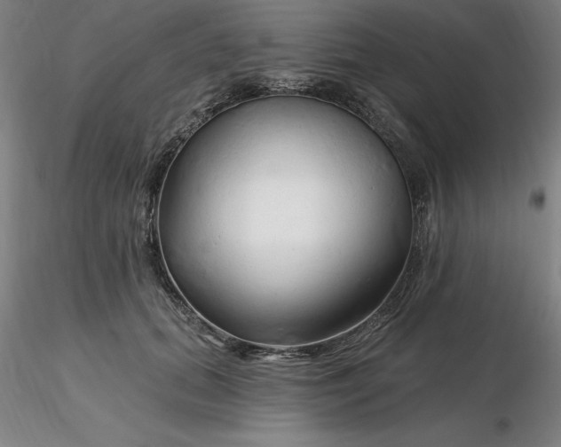 X0000116280655200912211820