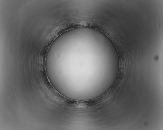 X0000116280656200912211820