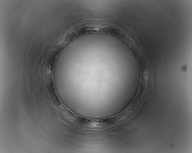 X0000116280657200912211820