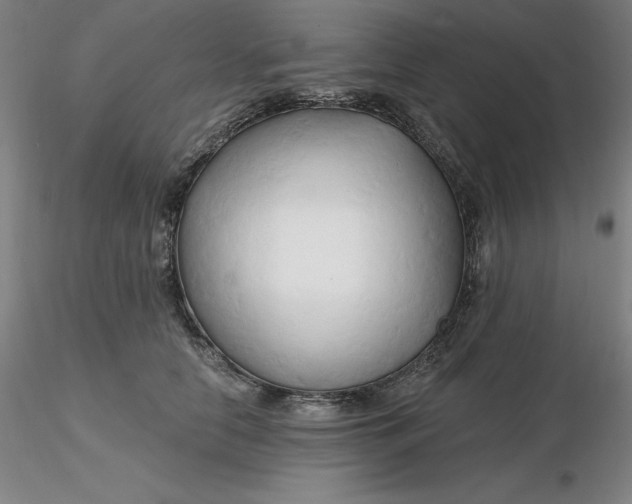 X0000116280658200912211820