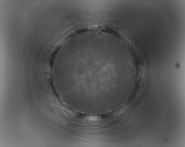 X0000116280659200912211820