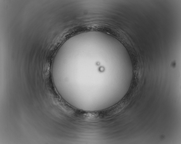 X0000116280660200912211820