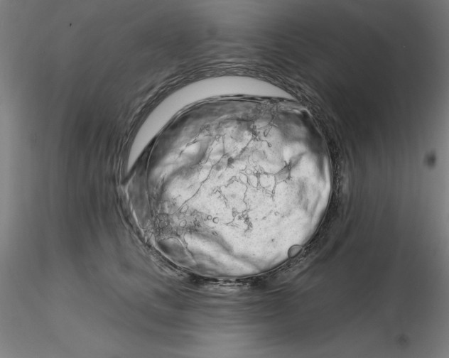 X0000116280661200912211820