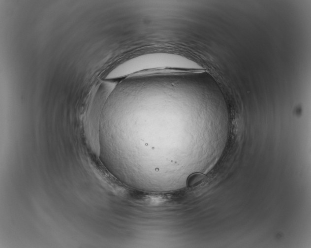 X0000116280662200912211820