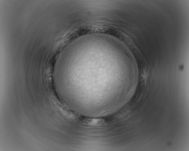 X0000116280663200912211820