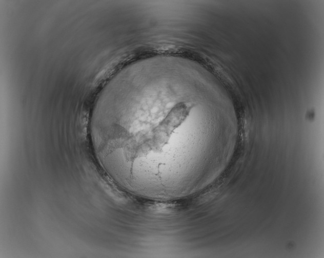 X0000116280664200912211820