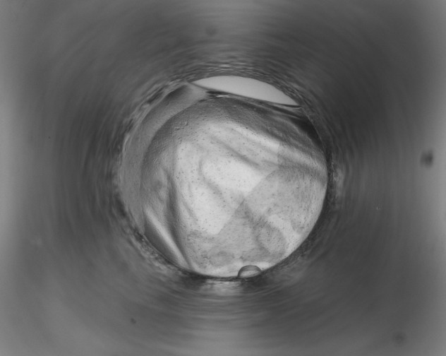 X0000116280665200912211820