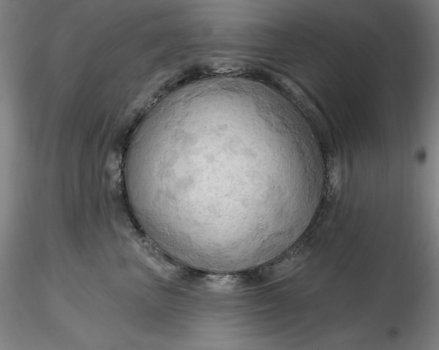 X0000116280667200912211820