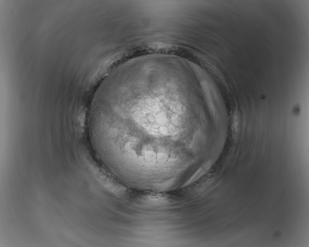 X0000116280668200912211820