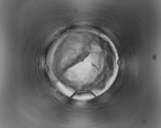 X0000116280669200912211820