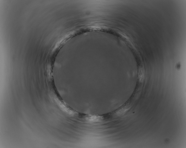 X0000116280670200912211820