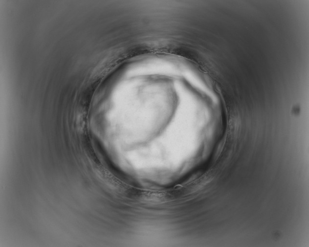 X0000116280671200912211820