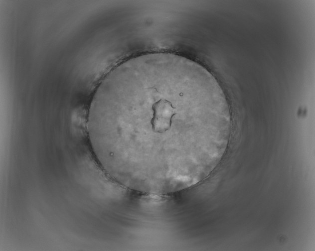 X0000116280672200912211820