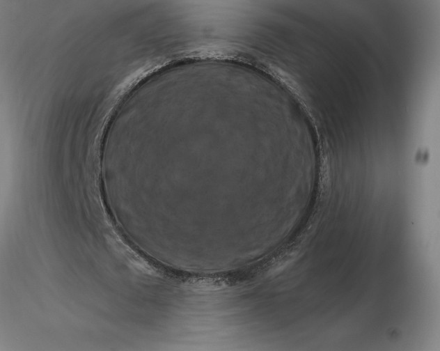 X0000116280673200912211820