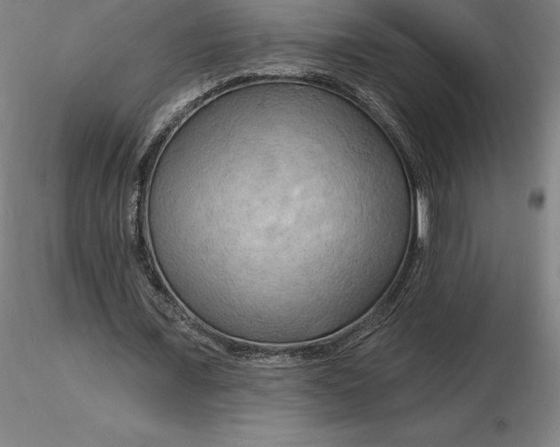 X0000116280675200912211820