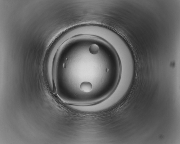 X0000116280676200912211820