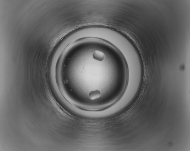 X0000116280677200912211820