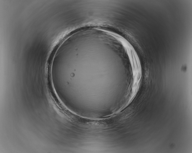 X0000116280678200912211820