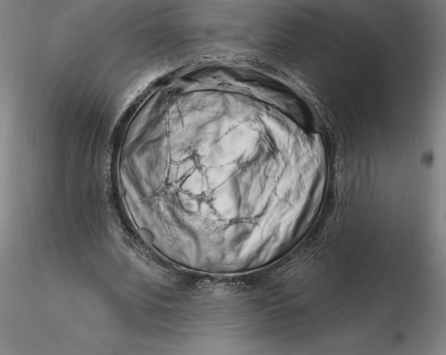 X0000116280679200912211820