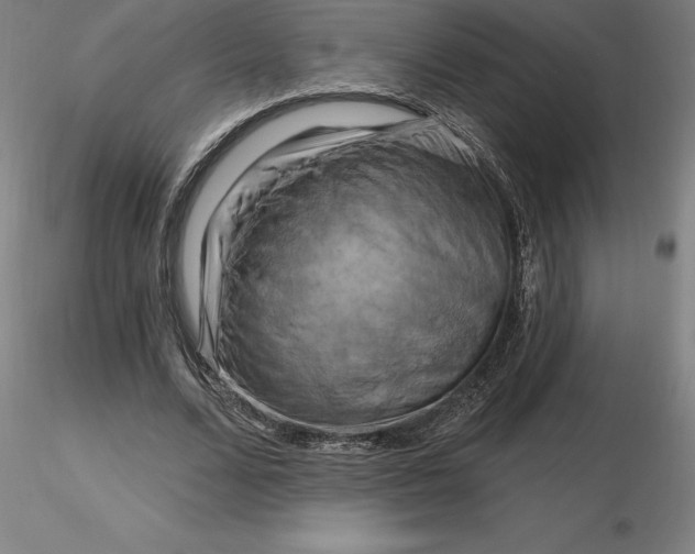 X0000116280680200912211819