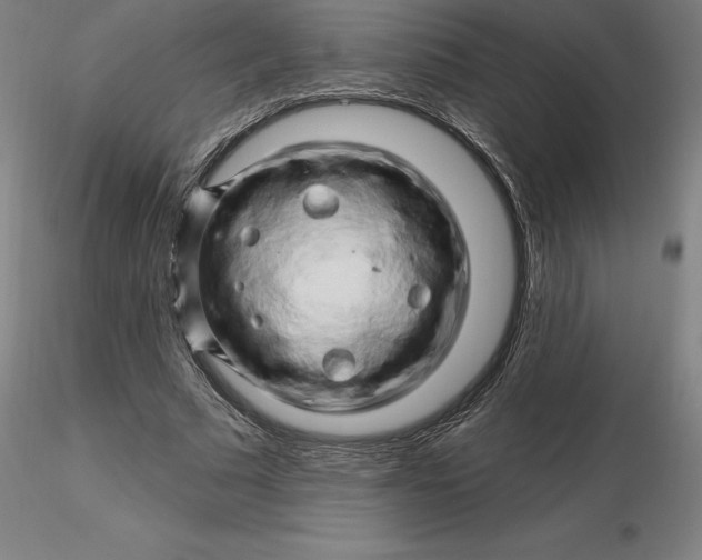 X0000116280681200912211819