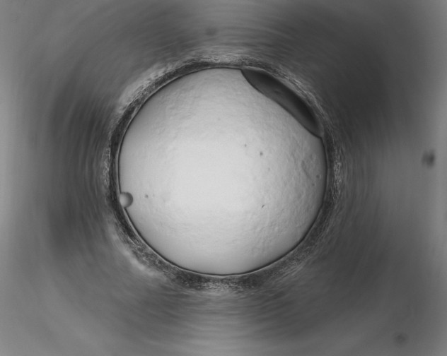 X0000116280682200912211819