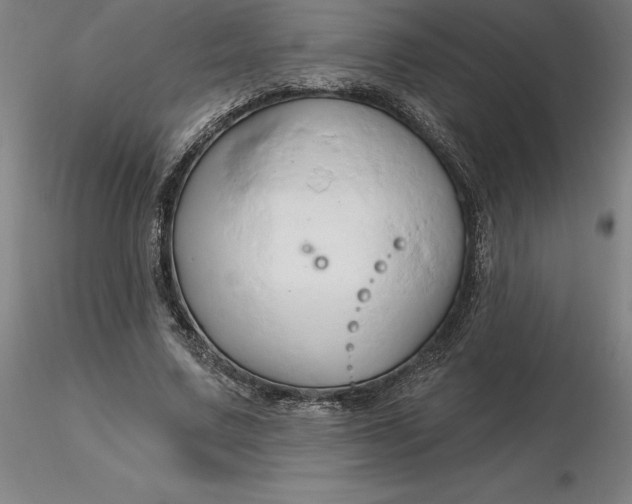 X0000116280683200912211819