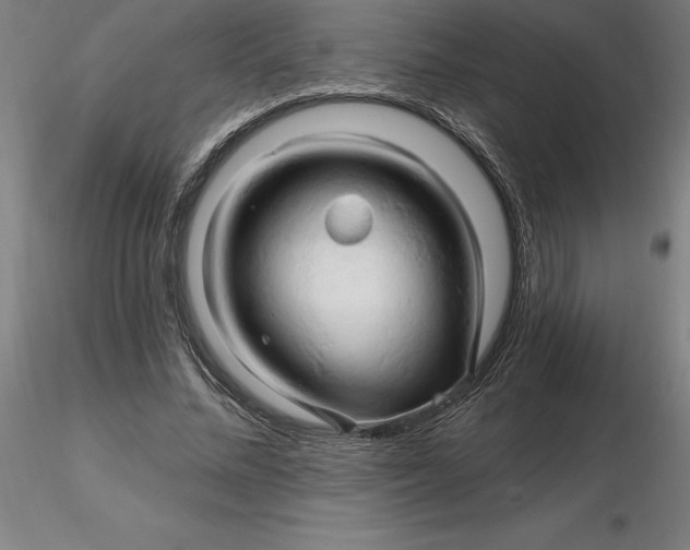 X0000116280684200912211819