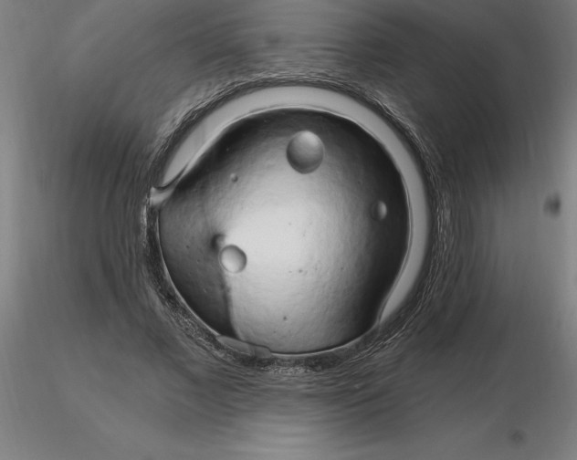 X0000116280685200912211819