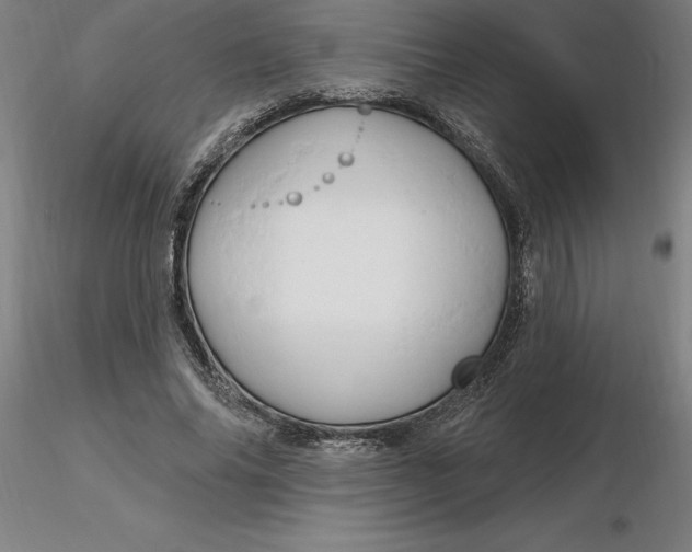 X0000116280686200912211819