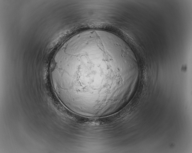 X0000116280687200912211819