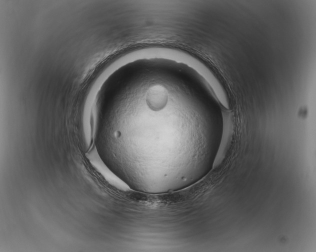 X0000116280688200912211819