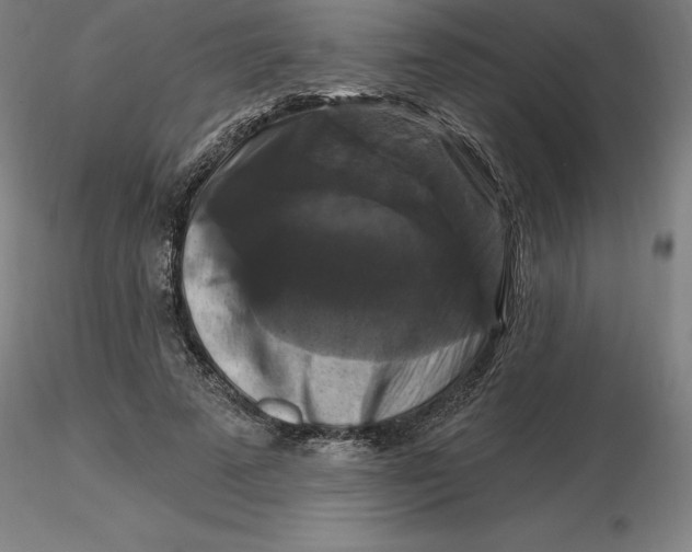 X0000116280689200912211819