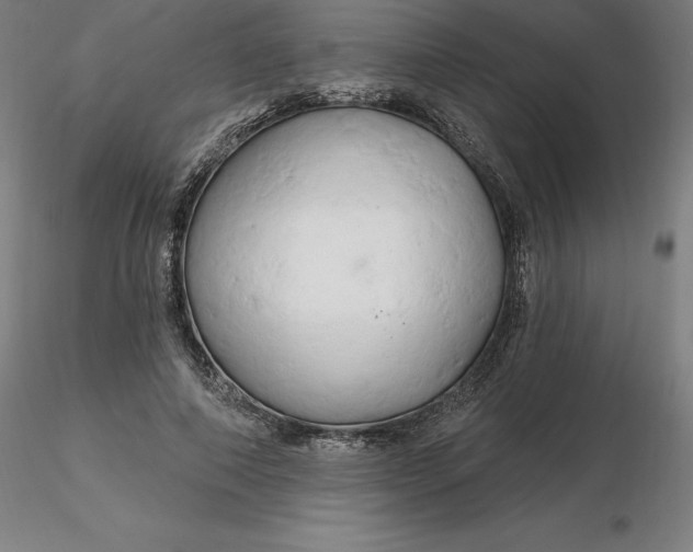 X0000116280690200912211819