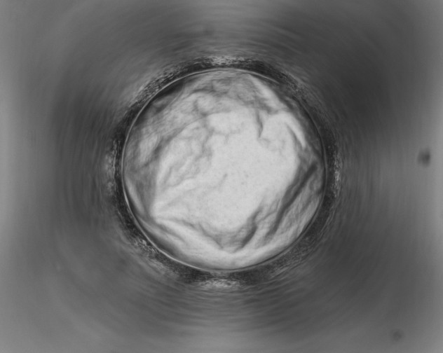 X0000116280691200912211819