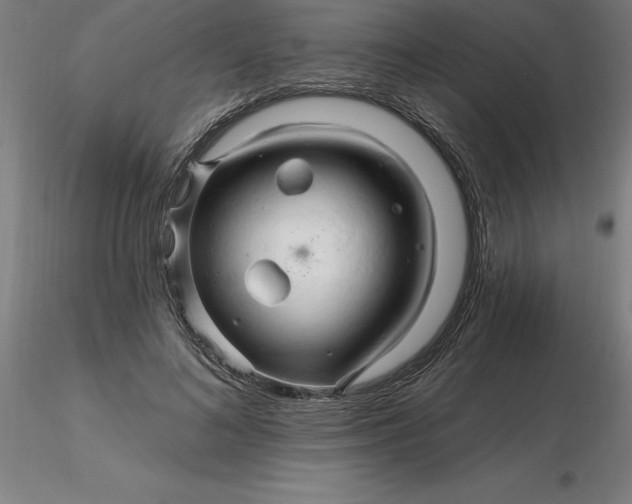 X0000116280692200912211819