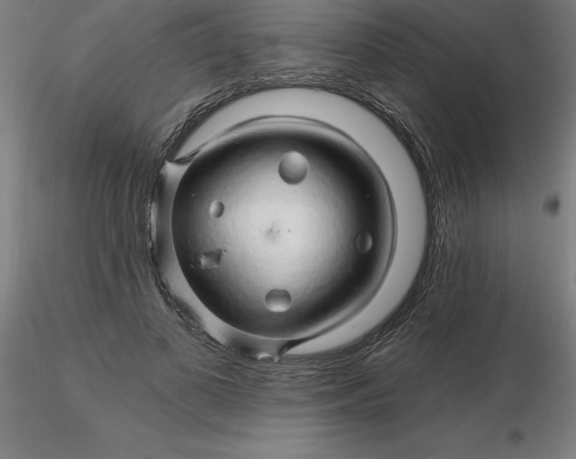 X0000116280693200912211819