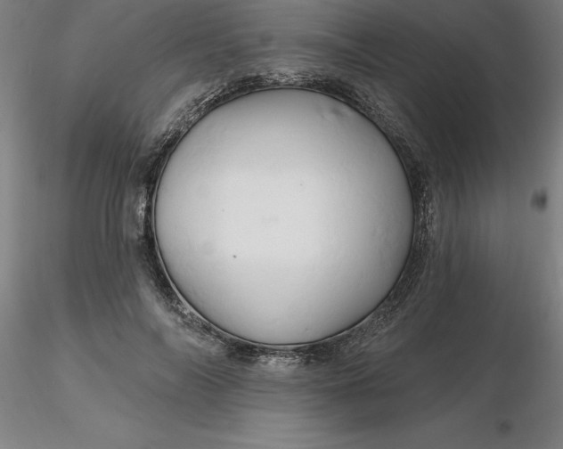 X0000116280694200912211819