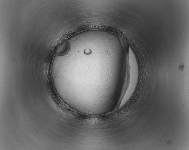 X0000116280695200912211819