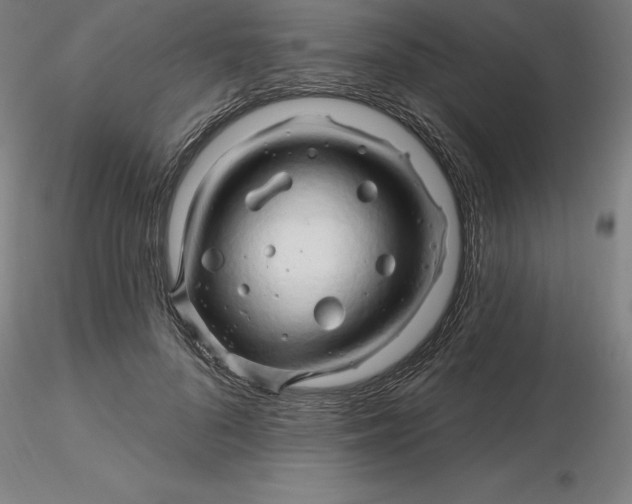 X0000116280696200912211819