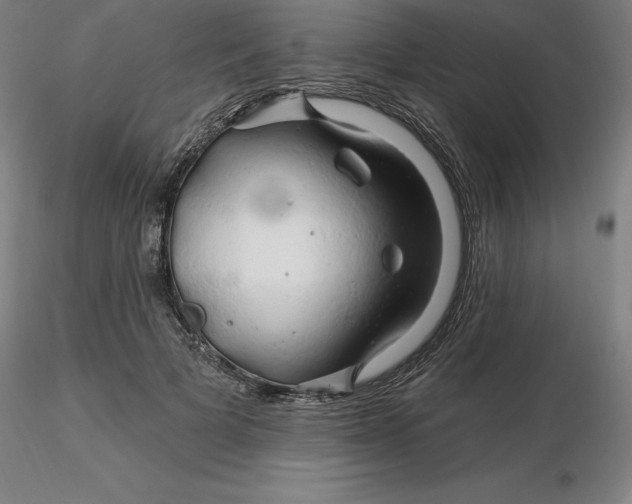 X0000116280697200912211819