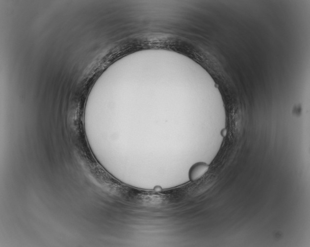 X0000116280698200912211819