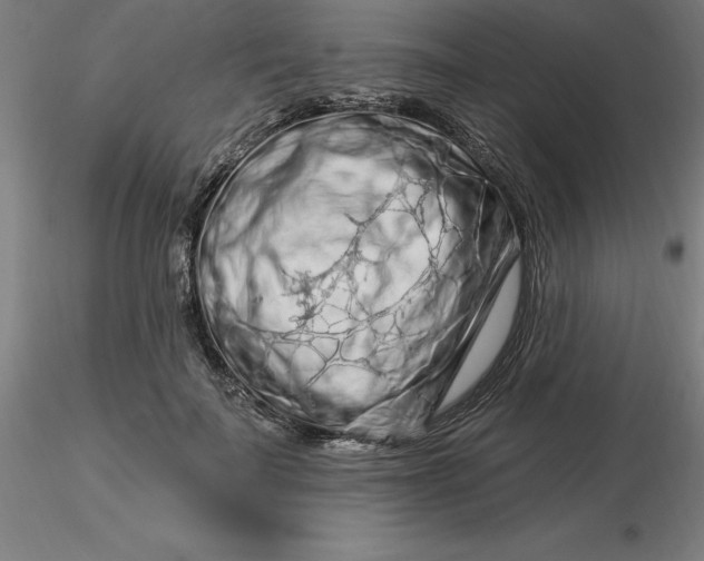 X0000116280699200912211819