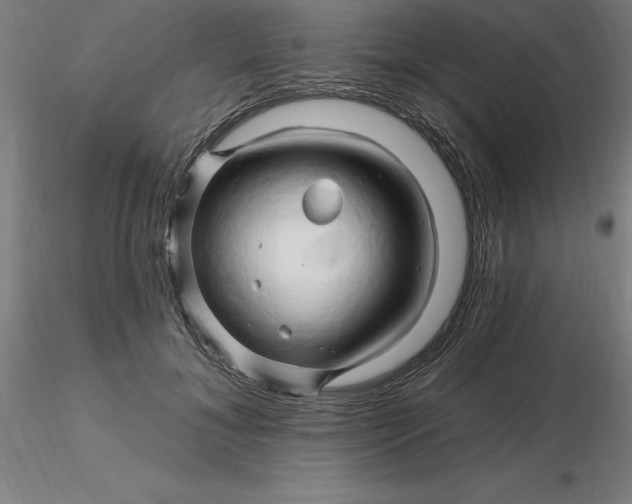 X0000116280700200912211819